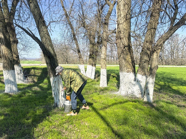 photo 2025 04 16 10 08 31