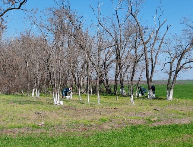 photo 2025 04 16 10 08 32 2