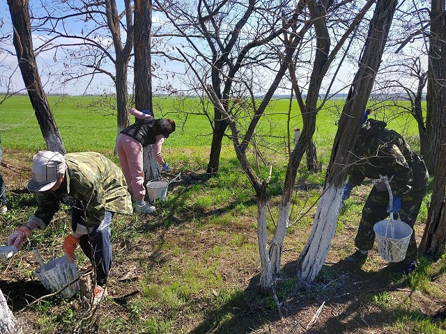 photo 2025 04 16 10 08 34 2